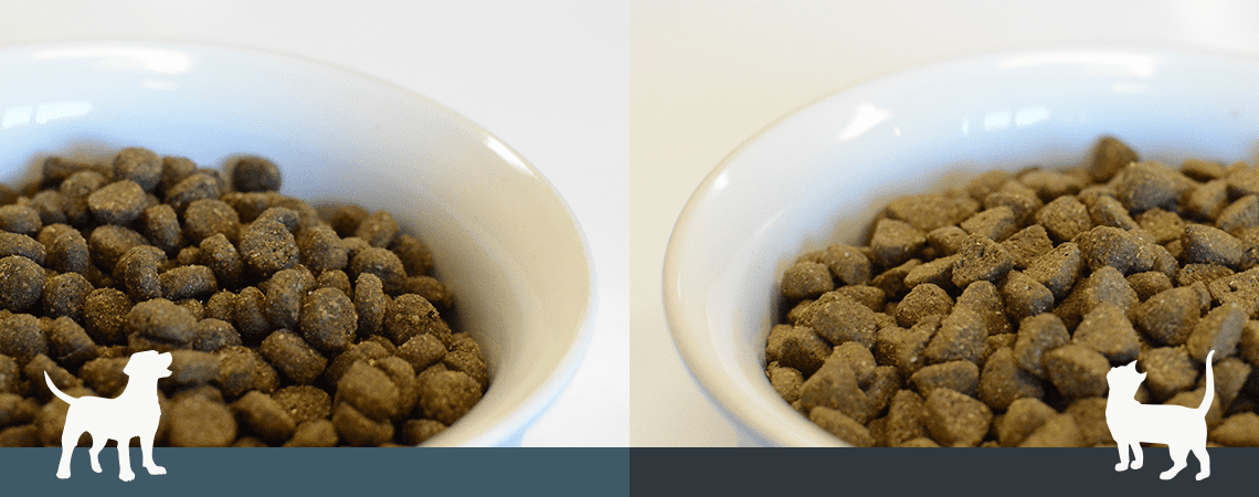dogvcatfood Two white bowls filled with brown dry kibble sit side by side, with a white dog silhouette on the left and a white cat silhouette on the right.