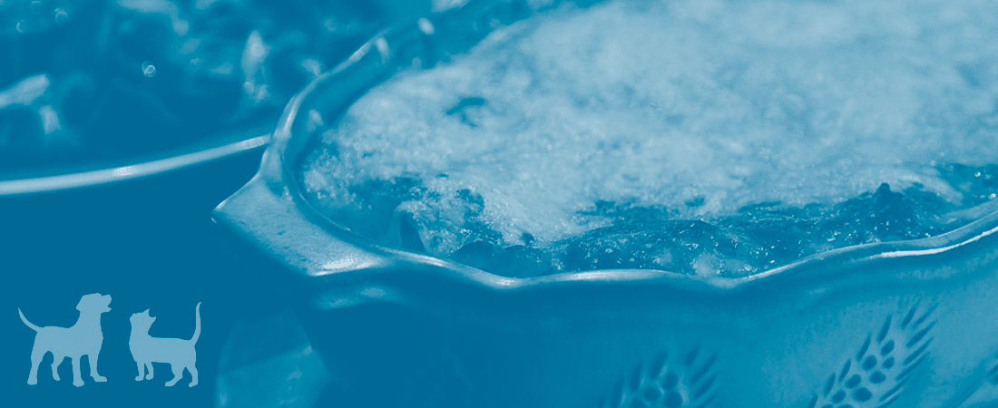 Lasagna Blue-tinted close-up of a pie in a baking dish with white cat and dog silhouettes in the lower-left corner.