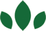leaves-t Stylized trio of green leaves on a dark green background.