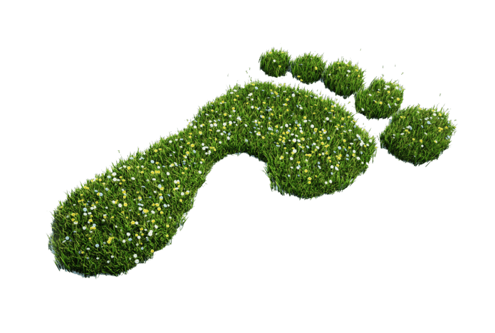 carbon-neutral Footprint made of grass with small flowers, isolated on a white background.