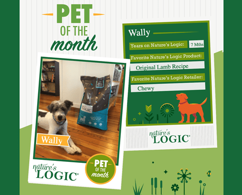 Wally, a black and white dog, pictured with Nature's Logic Original Lamb Recipe is pet of the month.