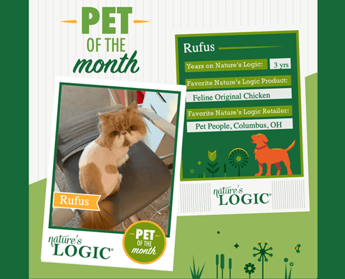 Pet of the Month poster featuring Rufus the cat, a green information board, and Nature’s Logic branding.