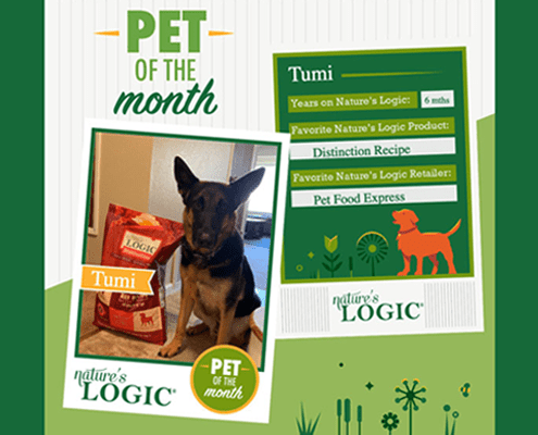 Green-themed "Pet of the Month" poster featuring a dog named Tumi beside Nature's Logic dog food packaging and an information board.