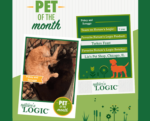 Pokey, an orange cat, and Scruggs, a tuxedo cat, are Nature's Logic's pets of the month.