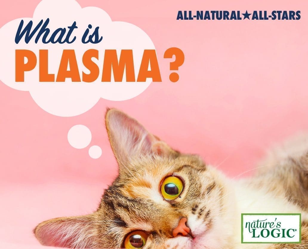 Cat lying down, looking up, with "What is plasma?" text in a speech bubble, pink background.
