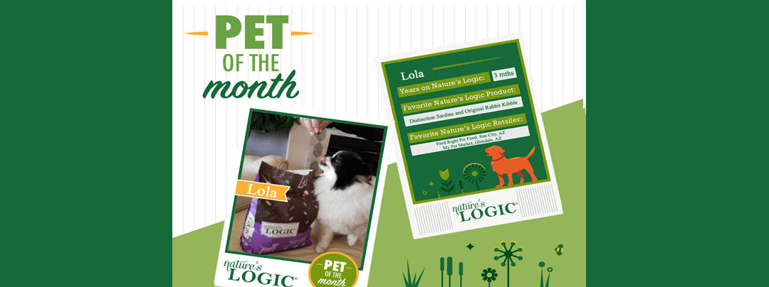 lola Pet of the Month graphic featuring Lola in a photo frame and a green Nature’s Logic information card on a green background.