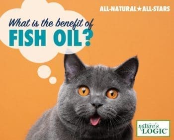 Gray cat with tongue out, with text "What is the benefit of fish oil?" against orange background.