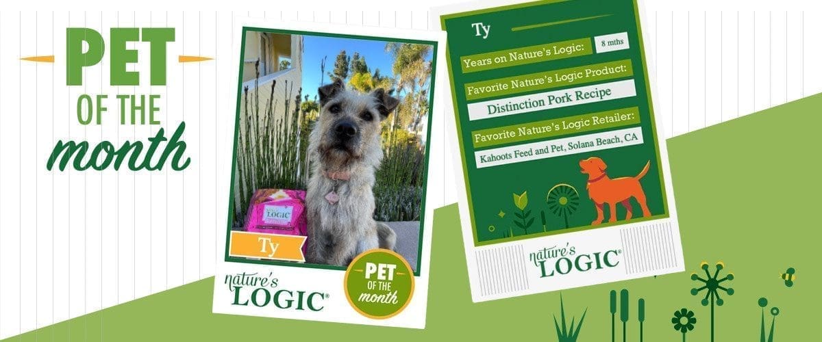 PetofTheMonth_1200x500-TY Promotional banner featuring Ty, the pet of the month, with a dog photo and Nature's Logic branding.