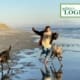 Person runs with two dogs on a wet, reflective beach with shallow water and distant hills.