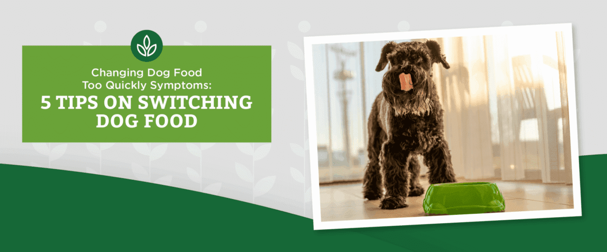 NL_Blog-Images_ChangingFood_Header_Dog Symptoms of changing your dog’s food too quickly.
