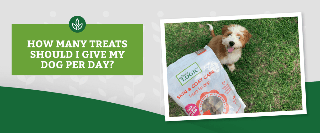 NL_Blog-Images_Header_Treats_Dog Dog stands on grass with Nature's Logic Skin & Coat Care Treats. Text: "How many treats should I give my dog per day?"