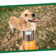 A Nature's Logic can of 100% All-Natural Pumpkin Purée is held in focus. A golden retriever stands in the background.