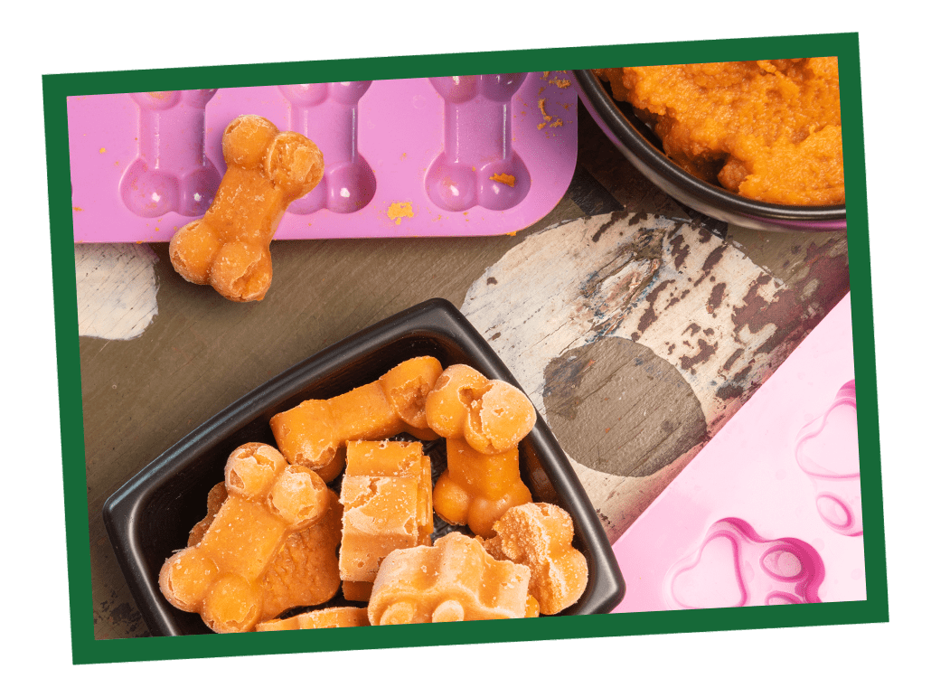 OUR FAVORITE FROZEN DOG TREAT RECIPES FOR SUMMER OUR FAVORITE FROZEN DOG TREAT RECIPES FOR SUMMER