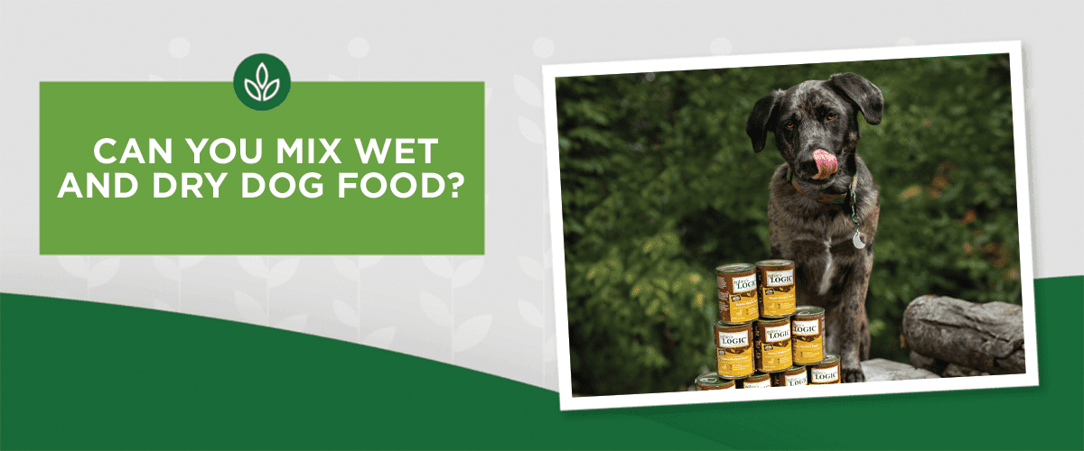 Can You Mix Wet and Dry Dog Food? Can You Mix Wet and Dry Dog Food?