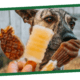 How Does Hot Weather Impact Dogs?