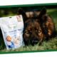 Is Lavender Safe For Dogs? Calming support biscuits
