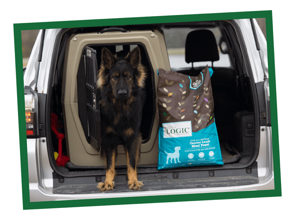 Benefits of Adding Kibble to a Raw Diet Benefits of Adding Kibble to a Raw Diet