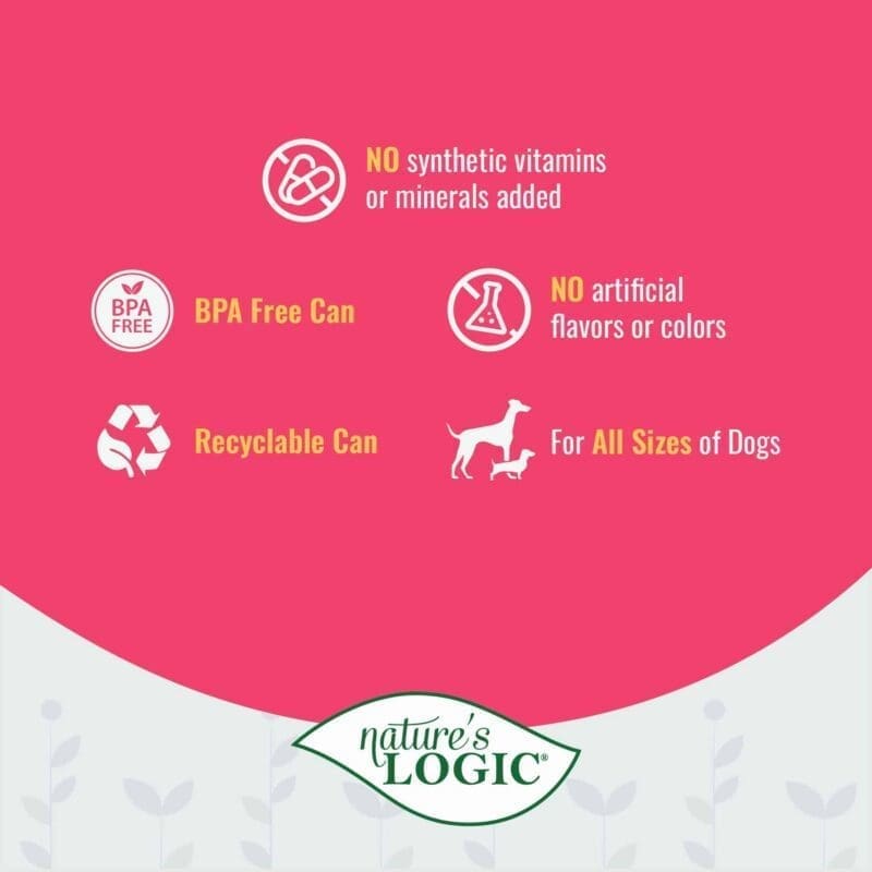 Pink banner with five circular icons and short captions arranged in a row on a white curved background.