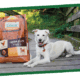 A small white fluffy dog resting on a green surface next to a large brown bag of pet food.