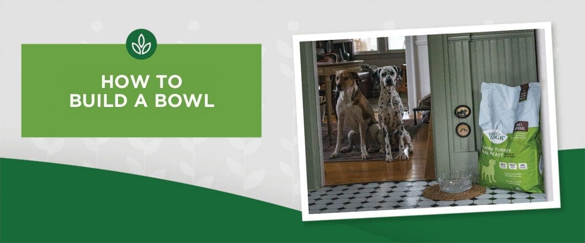 NL_Blog-Image_Header_BuildABowl_1200x500 Building a Bowl with Nature’s Logic