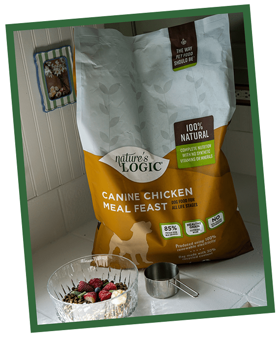 bowl-kibble Orange bag of chips on a green shelf.