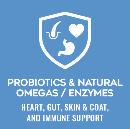 Blue shield logo with a white abstract symbol inside and the text 