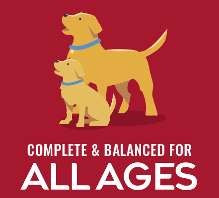 2d_PURE_A+_All_Ages_220x220x2 Logo with a yellow dog silhouette and the words ALL AGES on a red background.