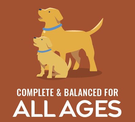 2d_PURE_A+_CKN_All_Ages_220x220 Cartoon illustration of a large dog balancing a smaller dog on its back against an orange background with the words ALL AGES.