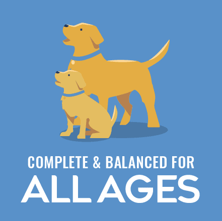 Logo with a tan dog and a person riding it on a blue background, featuring the text ALL AGES.