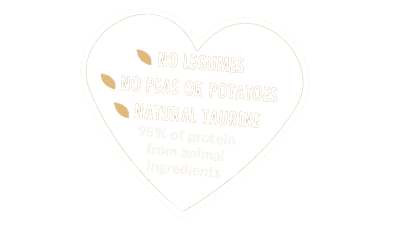 gf-heart-ch2 White heart outline with small yellow text inside on a pale background.