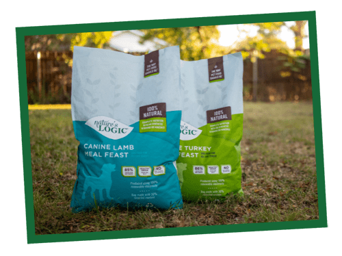 Several colorful bags of garden soil on a grassy lawn with trees in the background.
