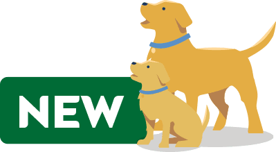 Cartoon golden retriever wearing a blue collar sits beside a green banner with white letters.