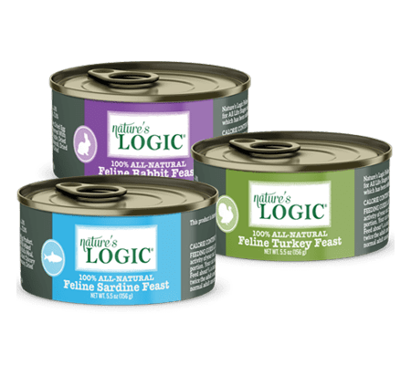 Four small colorful tins in purple, blue, green, and olive with labels, lined up in a row.