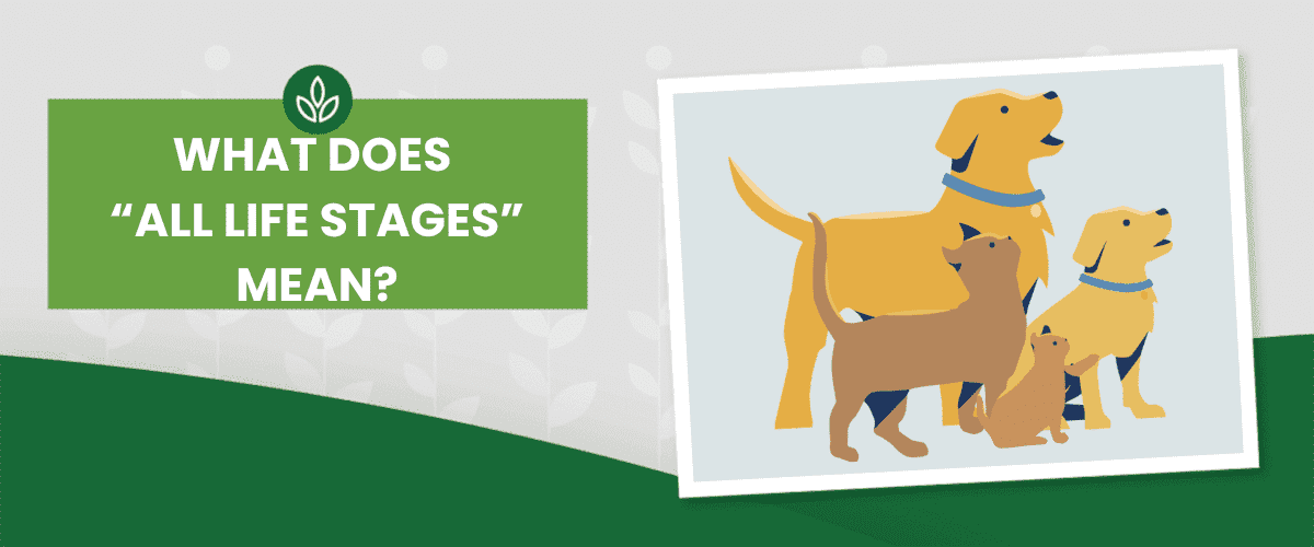 ALL-LIFE-STAGES-MEAN Green banner reading "WHAT DOES ALL LIFE STAGES MEAN?" beside a framed illustration of adult dogs and puppies.