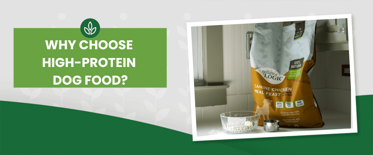 CHOOSING-HIGH-PROTEIN DOG FOOD why feed dogs high protein dog food