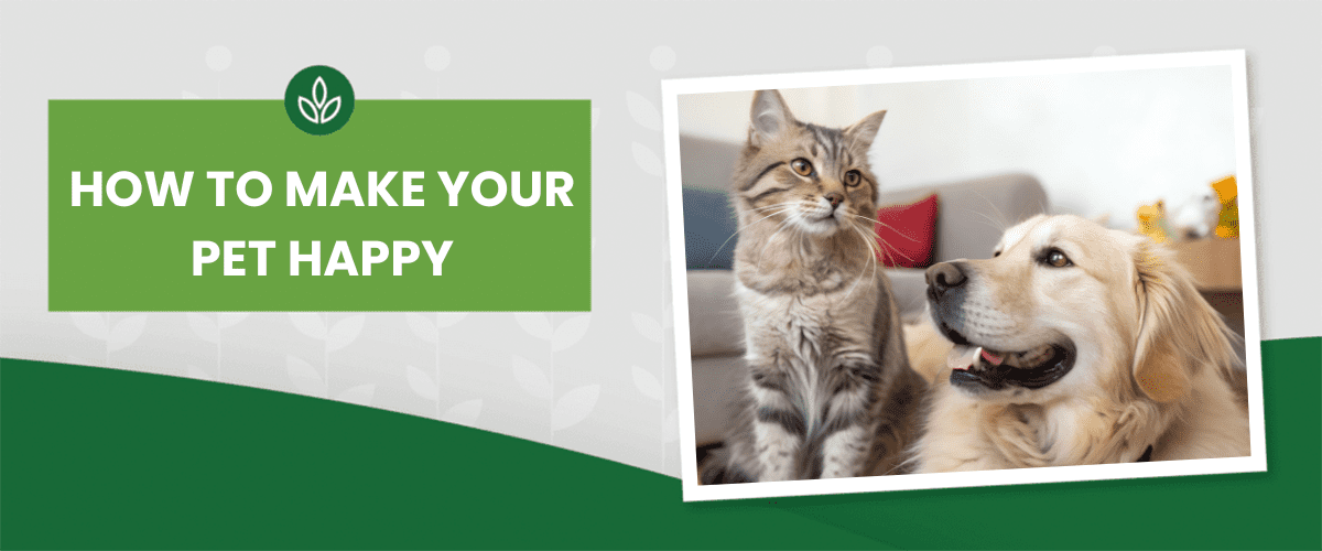 HOW TO MAKE YOUR PET HAPPY Graphic banner with a green panel that reads "HOW TO MAKE YOUR PET HAPPY" and a tilted white-framed photo of a cat and a dog.