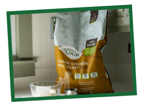 why feed dogs high protein dog food