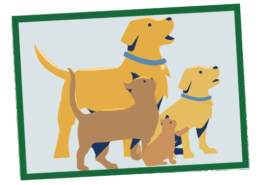 what is all life stages mean