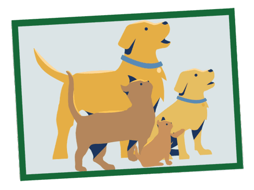 what is all life stages mean