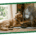 A golden retriever lies on a rug beside a cat near a large floor fan in a sunlit living room.